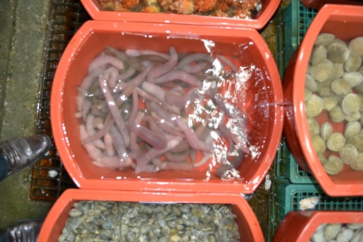 백사장회센타 이미지