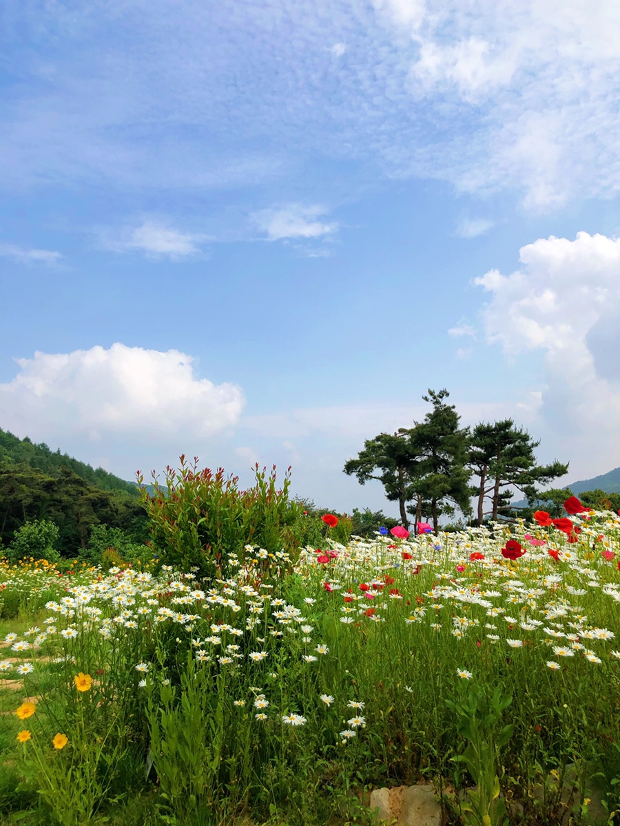 497정원 이미지