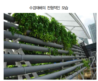 농부심 이미지