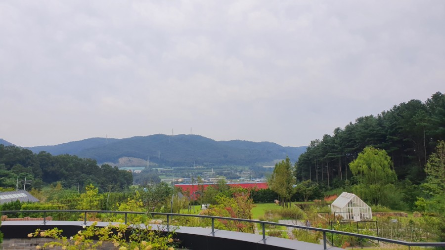 에덴서점 이미지