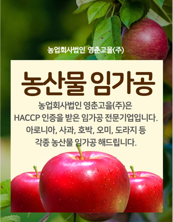 법인영춘 이미지