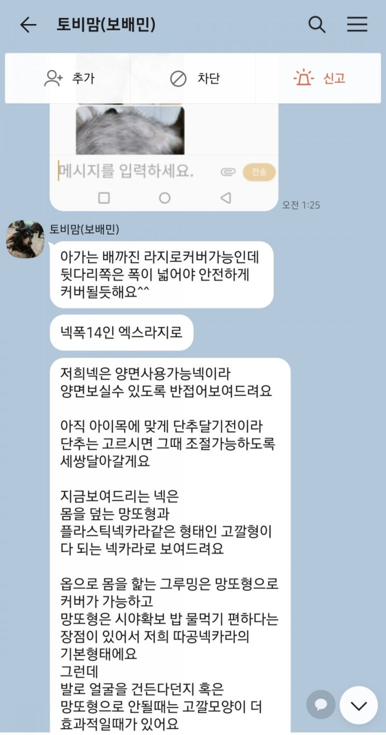 따공 이미지