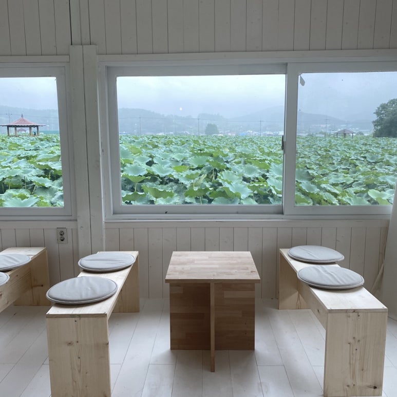 도화지(dohwaji) 이미지