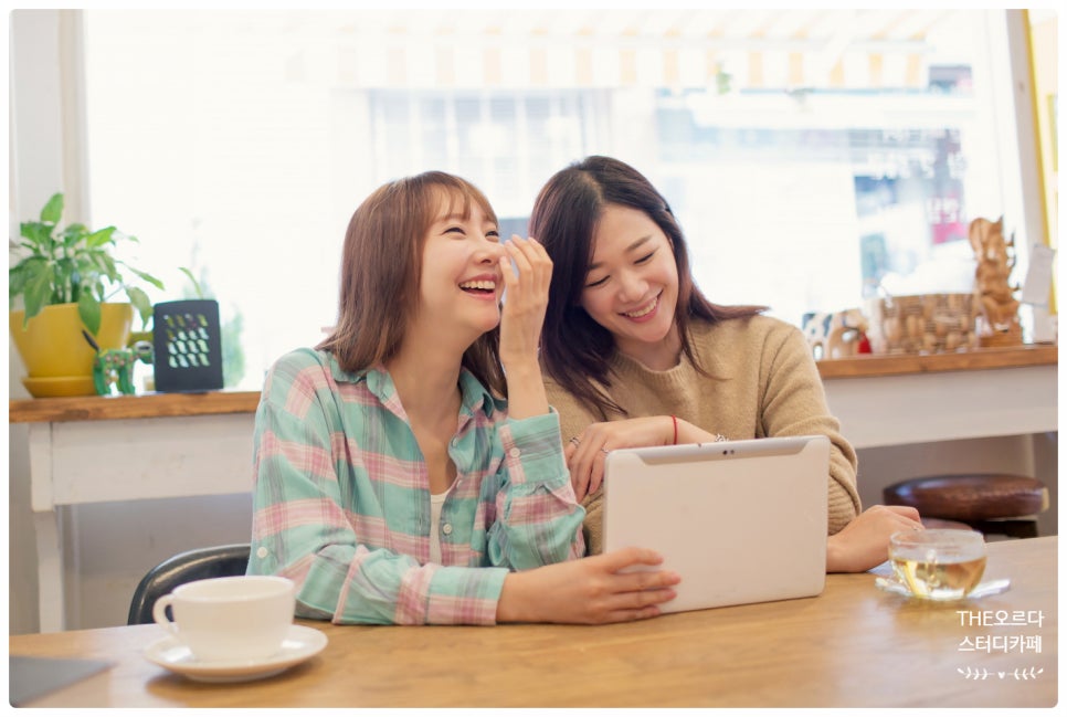 더오르다스터디 이미지