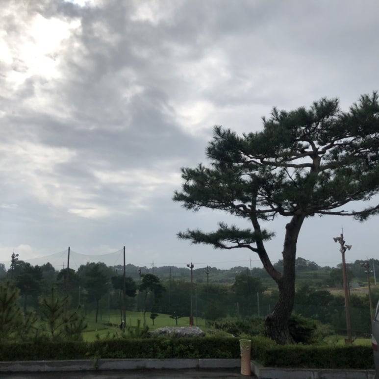 디스노래클럽 이미지