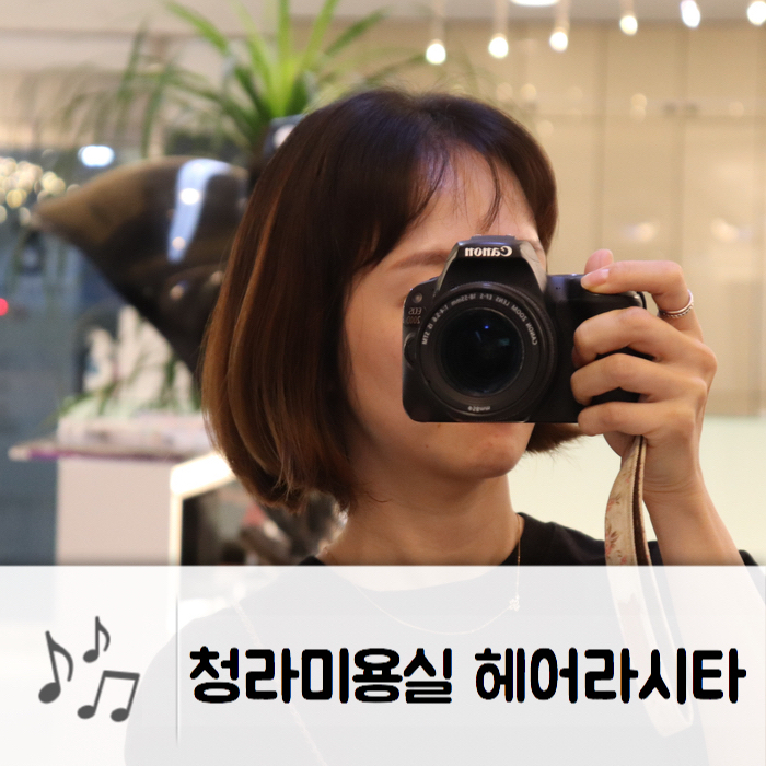 헤어라시타 이미지