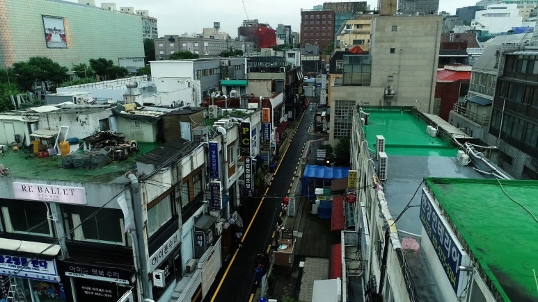 로데오수선 이미지