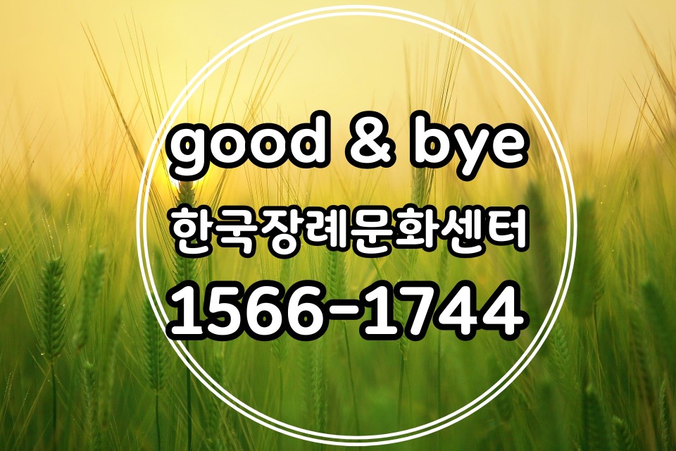 전국묘지이장공사 이미지