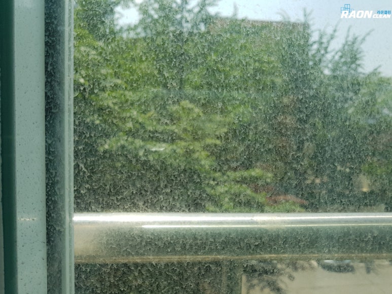 라온클린 이미지
