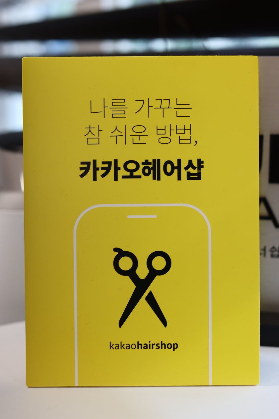 헤어메리엘 이미지