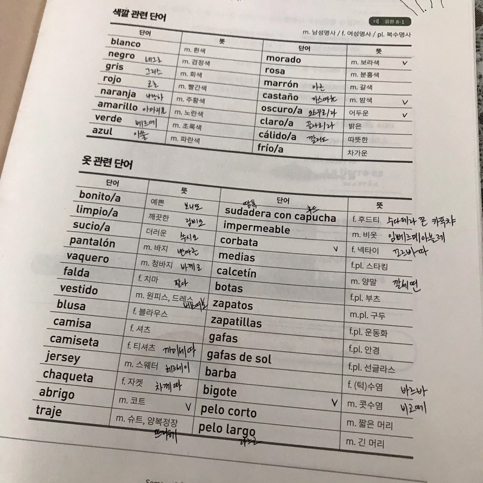 판타론 이미지