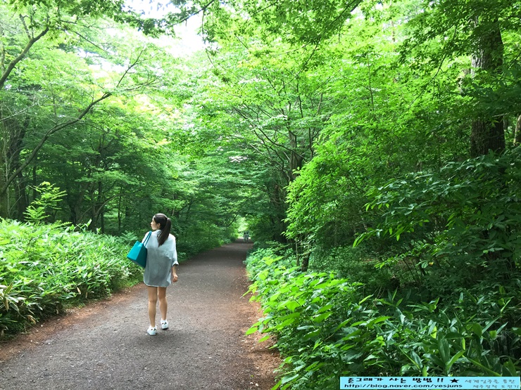 제주다올투어 이미지