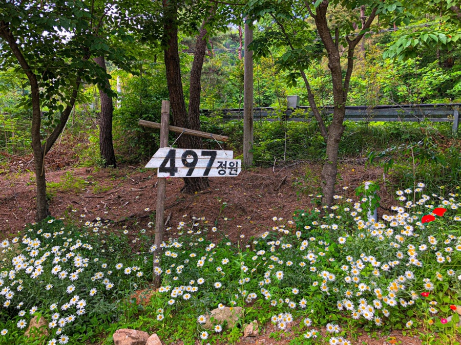 497정원 이미지
