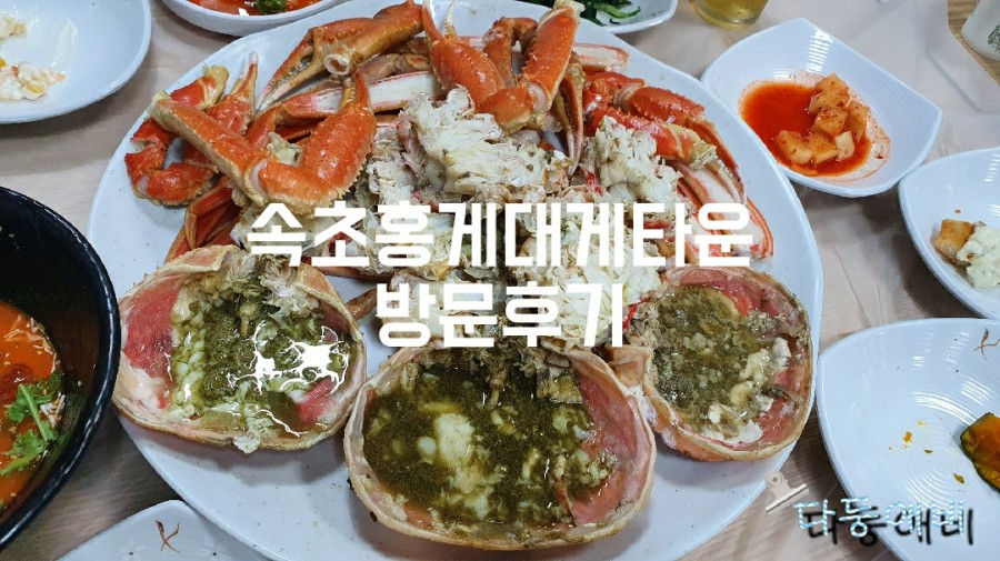 대게타운 이미지