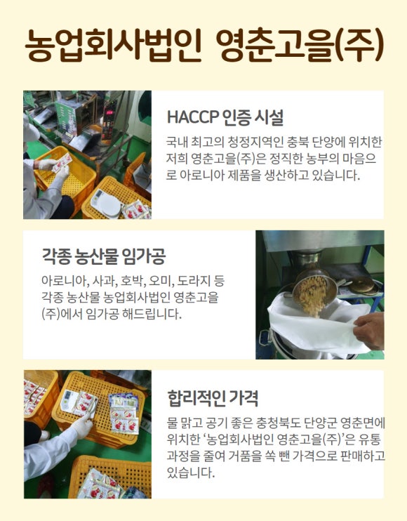 법인영춘 이미지