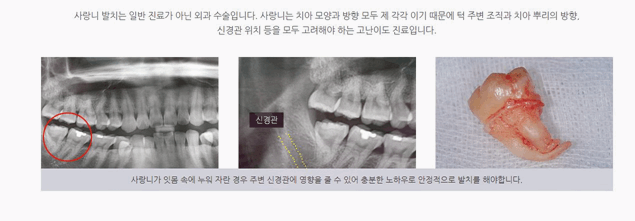연세미소치과의원 이미지