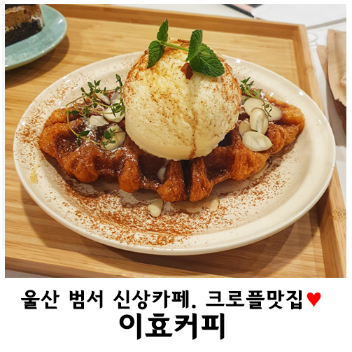 이효커피 이미지