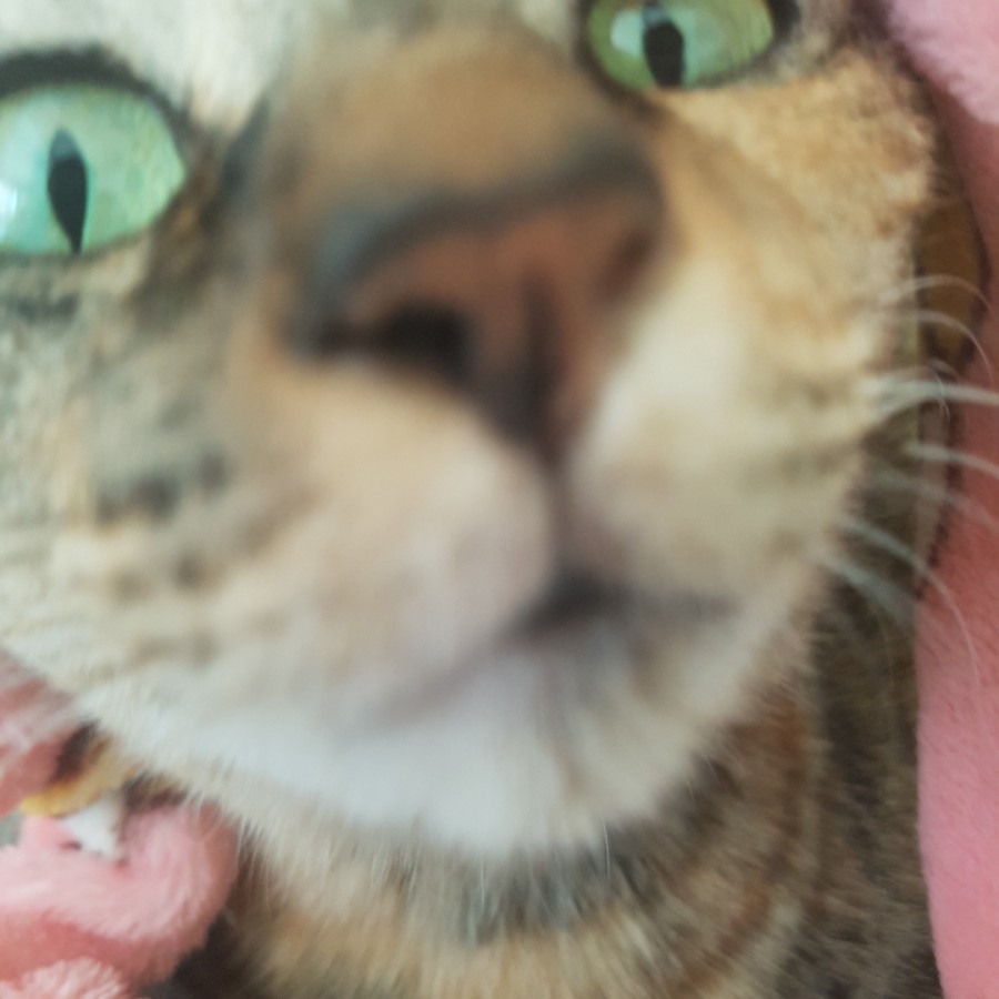 좌천동지게차 이미지