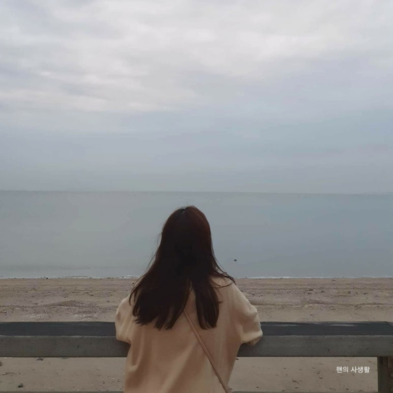 감뿌리손칼국수 이미지