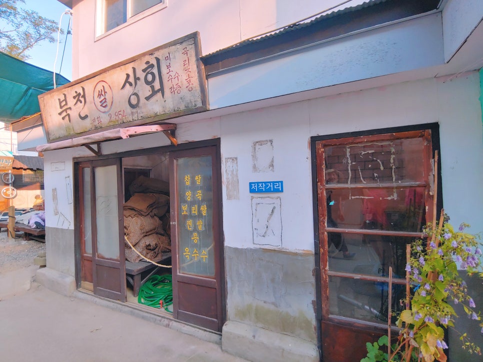국제전파사 이미지