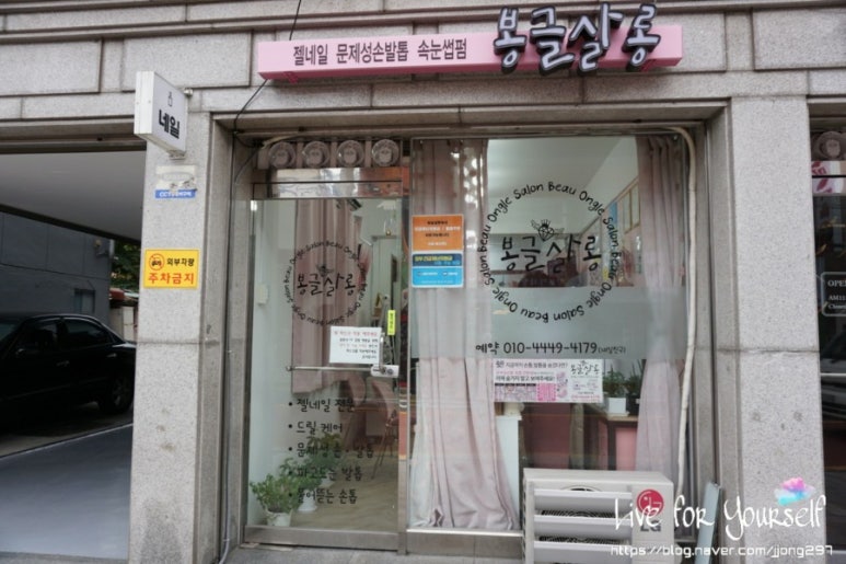 봉글살롱 이미지