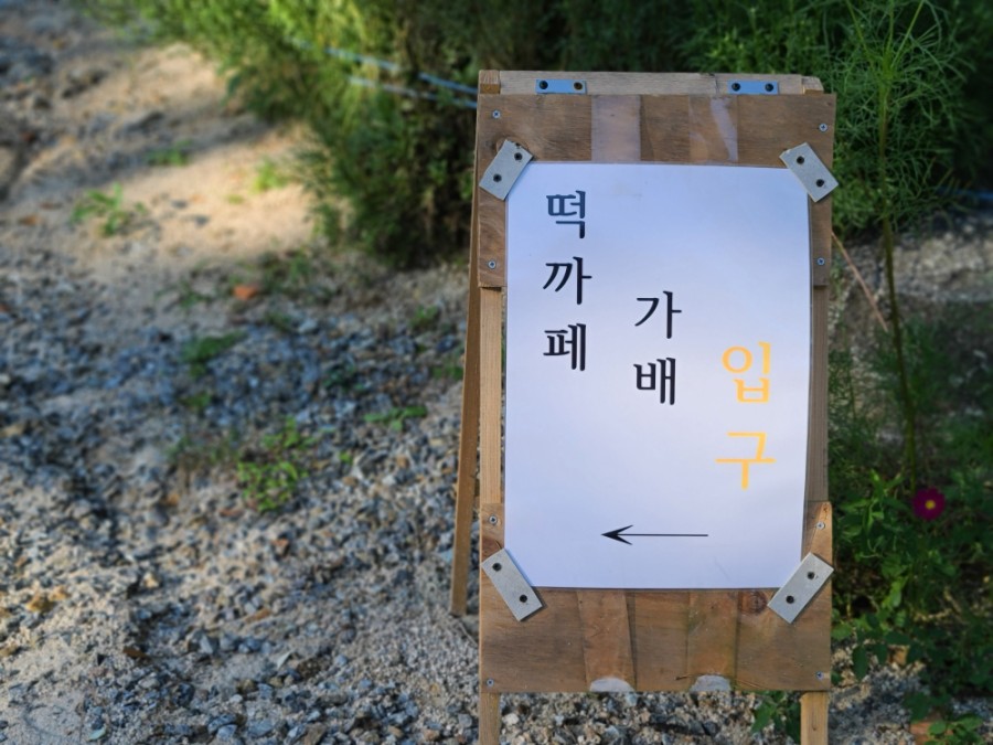 일상가배 이미지