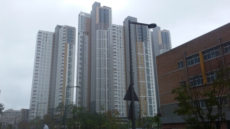 새샘사 이미지