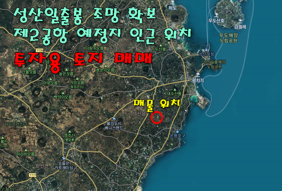 일출봉아로니아 이미지