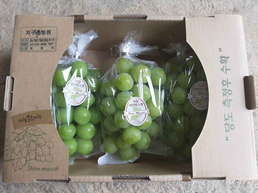 지구촌농원 이미지