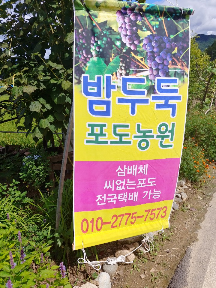 밤두둑농원 이미지