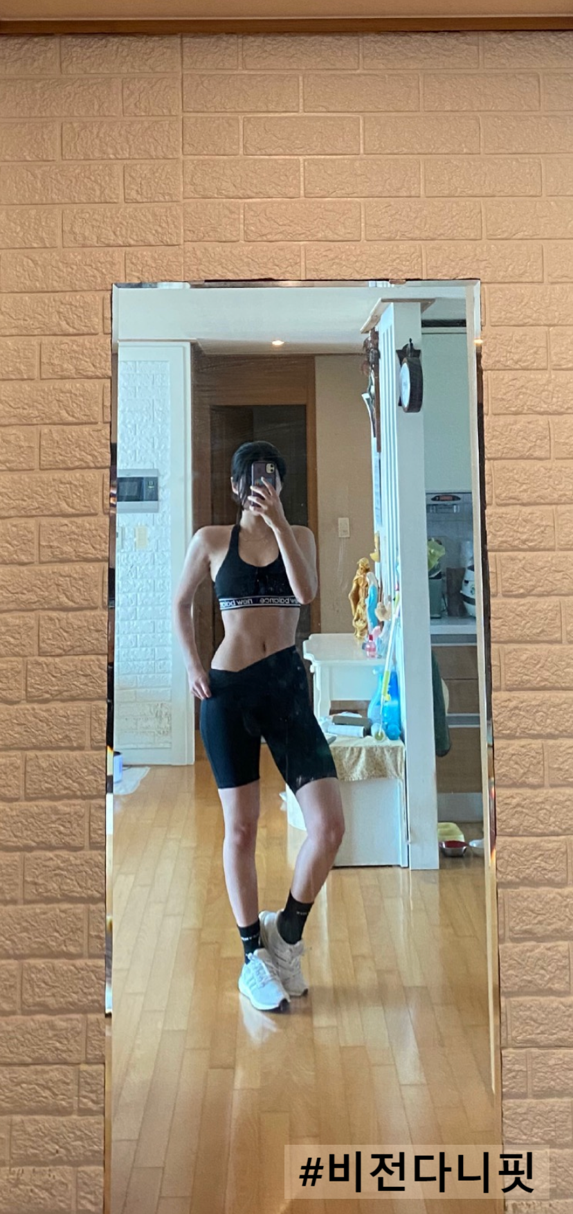 다니피트니스 이미지