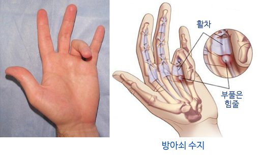성모한길정형외과 이미지