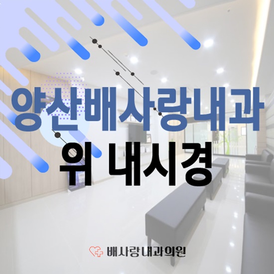 배사랑내과 이미지
