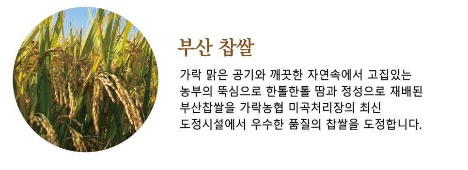 벗드림 양조장 이미지
