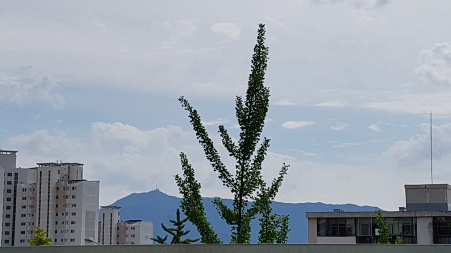 본어게인점핑다이어트 이미지