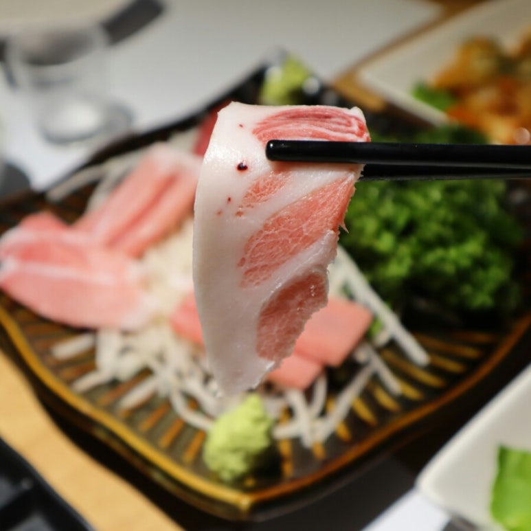 진어가참치 이미지