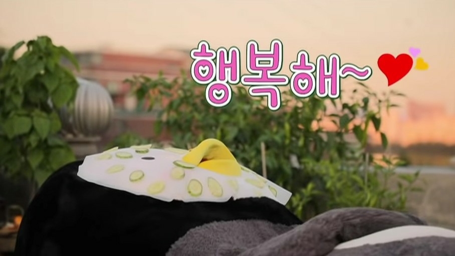 와플칸 이미지