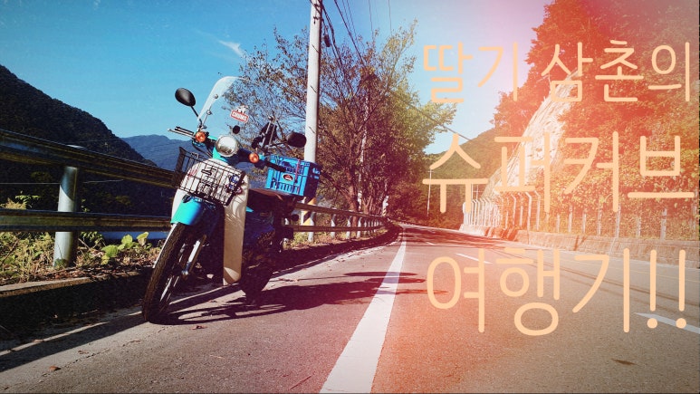 창포상회 이미지