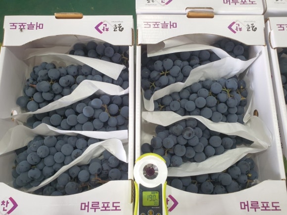 모닝마트용산점 이미지