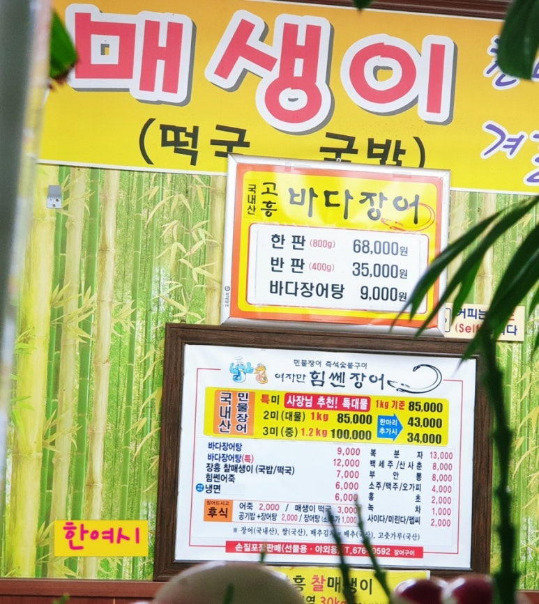 여자만힘쎈장어 이미지