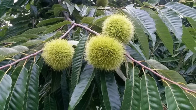 반곡고등학교 이미지