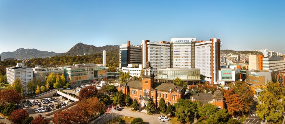국가경쟁력컨설팅 이미지