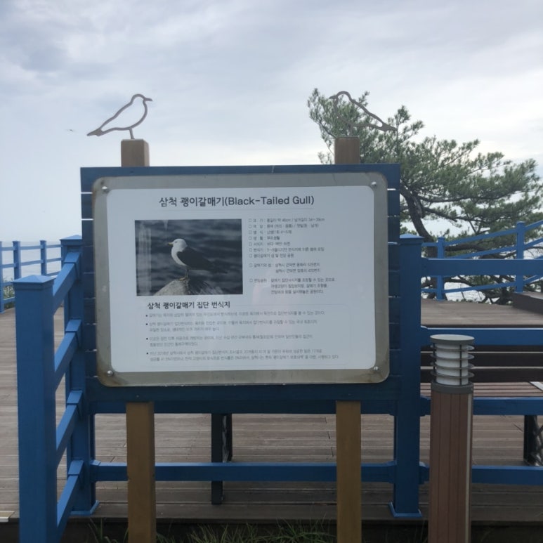 용화수산 이미지