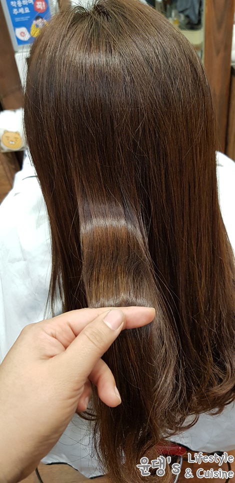 허브헤어 이미지