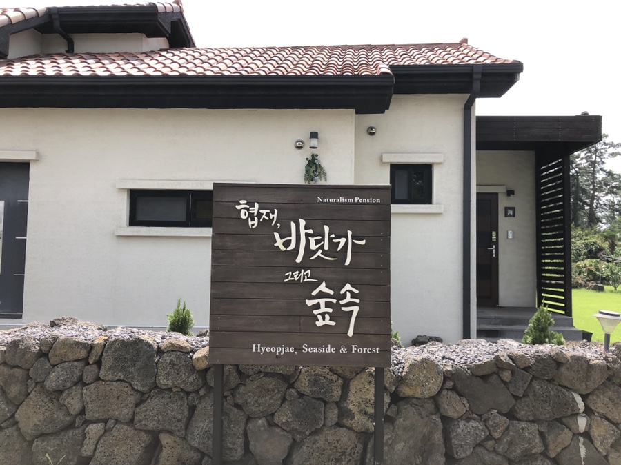 협재바닷가그리고숲속 이미지
