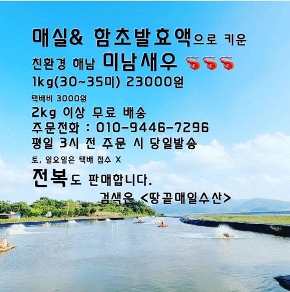 땅끝매실농장 이미지
