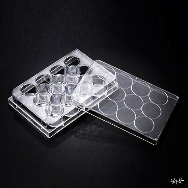 SPL Cell Culture Plate 12well 에스피엘 셀 컬쳐 플레이트 30012 31012 32012 실험기구 과학