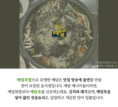 예담초 이미지
