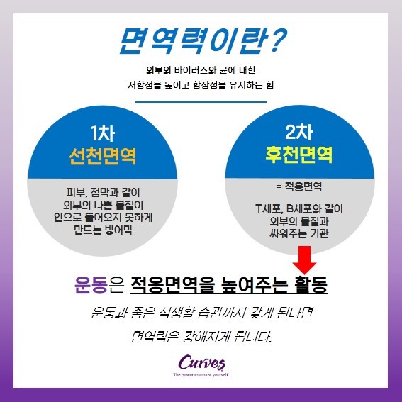 커브스상동클럽 이미지