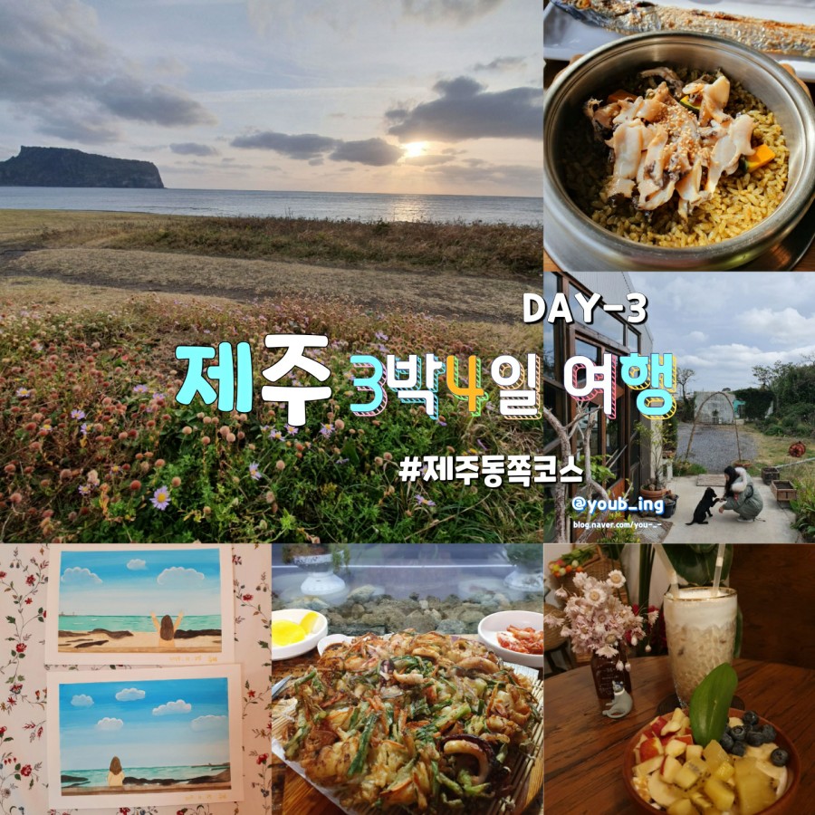 요거냥 이미지